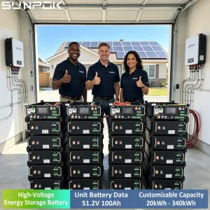 Industrial & Commercial Energy Storage Batterie 25kWh Battery Lithium 5kwh 50kWh High Voltage Lithium Ion Batteries Pack