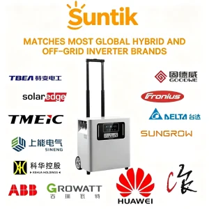 Intelligent BMS LiFePO4 Stackable All-In-One AC Energy Storage System 51.2V 0-5kWh IP65 8000 Cycles 10-Year Hybrid CAN