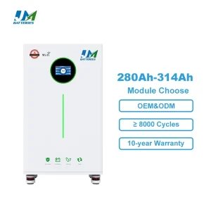 JM Factory BYD Cells 48V 300Ah 314Ah 16kWh Home Floor Standing 51.2V LiFePO4 Battery Pack 314Ah 15kWh 16kWh Solar Energy Systems