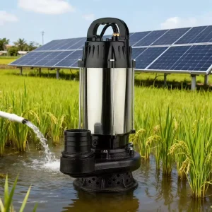 Large Caliber DC Solar Submersible Pump Stainless Steel Portable Water Pump for Farm Irrigation Pond Drainage