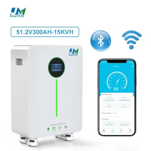 LiFePO4 300Ah 314Ah 16kWh Home Energy Storage Battery 48V 51.2V with Wheels