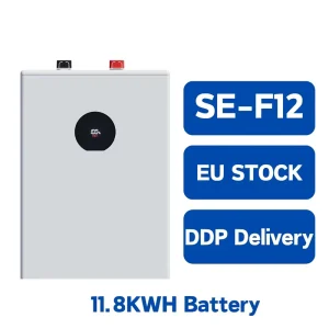 LiFePO4 51.2V 10kW 11.8kWh SE-F12 Home Energy Storage Solution Wall-Mounted Hybrid Grid Battery 6000 Cycles IP65