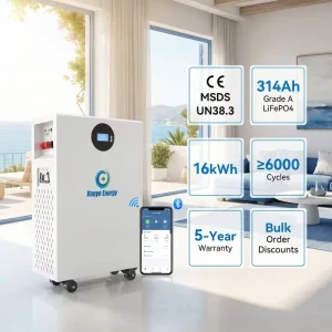 LiFePO4 51.2V 314AH 16KWH BMS CAN Home Energy Storage System Solar Power ESS Floor/Wall-Mounted 51.2V 100AH 200AH