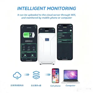LiFePO4 Home Solar Energy Storage System 15 16kWh Wall-Mounted Hybrid Grid CAN Model T30 Xdbattery