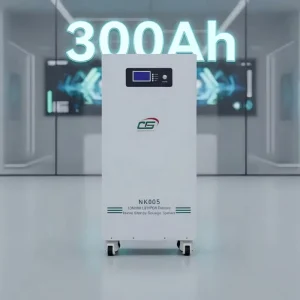 Lifepo4 Batteries Lithium Battery 24 Volt 10kwh 400 Amp 48v 15 kw h 300ah Solar Home Energy Storage System