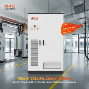 Liquid Cooled 100KW/232KWH 125KW/261KWH LiFePO4 Battery Storage Cabinet for Commercial Plant