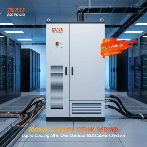 Liquid Cooled ESS Outdoor LFP Lithium Battery Cabinet 100kW 232kWh 125kW 261kWh with Smart Thermal Management for Data Center