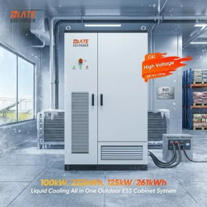 Liquid Cooled Lithium Battery ESS Cabinet 100kW/232kWh 125kW/261kWh Energy Storage for Cold Warehouse