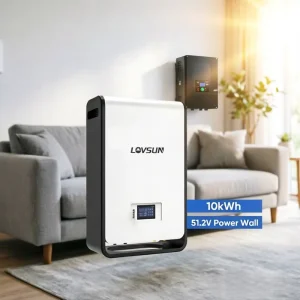Low Voltage LiFePO4 Battery for Residential Energy Storage 51.2V 10 15KWh Equipped with Grade a Cells for an Extended Cycle Life