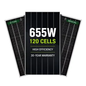 N Type Solar Panels Bifacial Dual Glass PV Module 655W 645W 640W 630W 635Watt Panneau Solaire for Photovoltaic Project