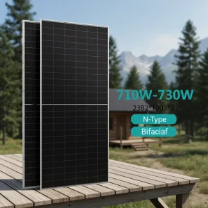 N type Bifacial for All Black Double glass PV Module 685w 690w 695w 700w 705w 710w 715w 23.61% Efficiency Solar Panel