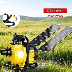 OEM Customizable Brushless dc solar water pump for Agricultural Irrigation High 20m Head Solar Self Priming