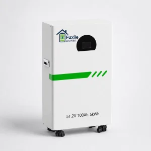 OEM ODM 51.2V 100Ah 5.12kWh LiFePO4 Home Energy Storage Battery with Wheels and 5 Year Warranty