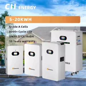 OEM ODM 5kwh to 20kwh 48V Pure Sine Wave Solar Inverter 220V Support Parallel Hybrid Solar Inverter
