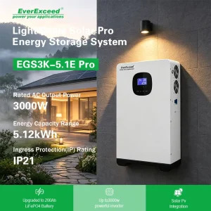 OEM ODM Reliable 3K 5.1E Solar Pro Wall Mounted 6000 Cycle LFP Home Energy Storage Systems for Homes Peak Shaving