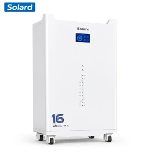 Outdoor Hybrid 16KWh 51.2V 314Ah Solard Smart WIFI Stackable 8000 Cycles Reliable Lithium Iron Phosphate Battery Pack