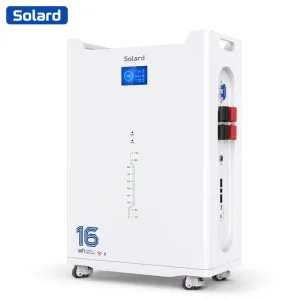 Outdoor Off grid 16KWh 51.2V 314Ah Solard 8000 Cycles Maintenance Free Smart LiFePO4 Battery Storage