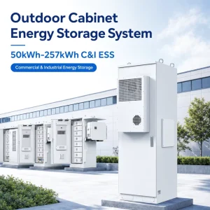 Outdoor Solar Lithium-Ion Battery Energy Storage System 100kWh 125kWh 261kWh