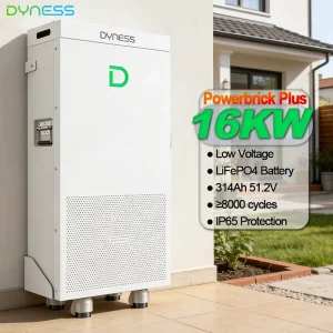 Outdoor grade Household Energy Storage Solar Battery Dyness PowerBrick Plus 16.07kwh 51.2V 314Ah Lifepo4 Lithium Battery
