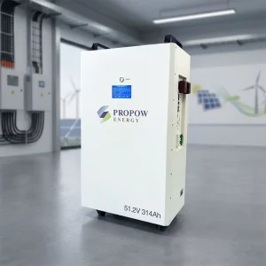 Professional ESS 300Ah 51.2V 314Ah 16kWh LiFePO4 Battery Energy Storage System for Residential Solar Power Backup