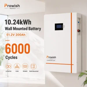 Prowish 10kWh 51.2V LiFePO4 Smart BMS Wall Mounted Battery Pack for Home Solar Energy Storage System