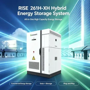 RISE 261H-XH 50-125kW 2.61MWh All-in-One Commercial Hybrid Energy Storage System 10 MPPT PV Battery Inverter