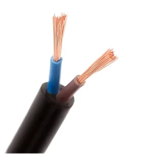 RVV 2 Core Stranded Conductor Flexible Pure Copper PVC Sheathed Power Cable for Automotive DIY Lighting Garden Outdoor Use