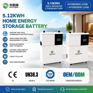 Residential Energy Storage 51.2V 100Ah LiFePO4 Wall-Mounted Vertical Stand Battery UN38.3 BMS Lithium Solar Battery