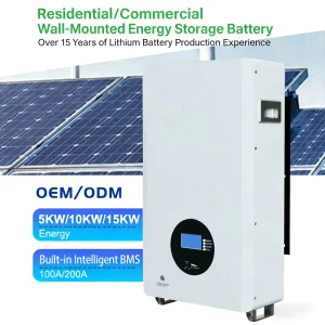 Residential Lithium Iron Phosphate 51.2V 100AH Solar Energy Storage System