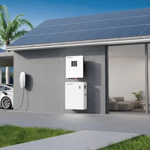 SNA PRO-EU 6.5K Max PV Input 12KW IP65 Protection 6.5KW Pure Sine Wave Solar Inverter for Home Solar System