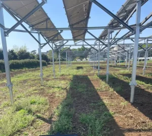 Sand-Fixation Anchored Wind-Erosion Resistant Hot-Dip Galvanized China Manufacturer PV Agriculture Mounting System