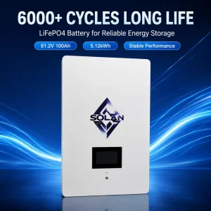 Smart Inverter Communication 51.2V 100Ah LiFePO4 Storage Battery with CAN RS485 RS232