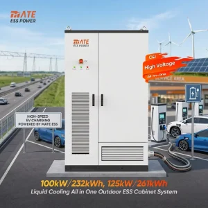 Solar Battery 100kW 232kWh 125kw 261kwh LFP Lithium Battery Cabinet Solar Storage Energy System for EV Charging Station