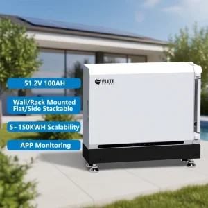 Solar Energy Storage Power System Home 48V 51.2V 100Ah Stackable Wall Mounted Rechargeable LiFePO4 Lithium Ion Battery Pack