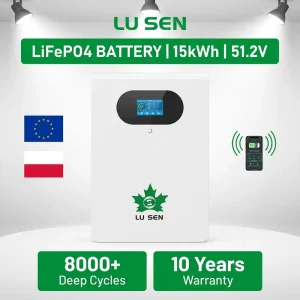 Solar Lithium-Ion Battery 16kWh 15kWh 10kWh 5kWh 48V 200Ah 300Ah LiFePO4 Energy Storage Battery