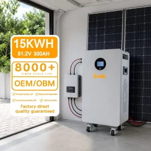 Split LiFePO4 15kWh Stackable IP65 CAN Supports Customized Smart BMS 8000 Cycle Safety Environmental
