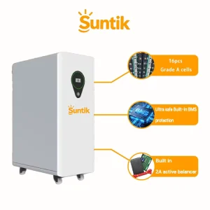 Ten-Year Warranty LiFePO4 Stackable IP65 Customized Smart BMS 8000 Cycle Safety Environmental Easy Installation Home CAN