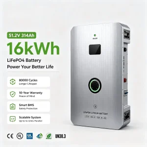 Trolley Battery 5kwh 10kwh 15kwh 16kwh 20kwh Home Energy Storage System 48v 51.2v 200ah 320ah Solar Battery Pack Lifep SUPSRSAFE