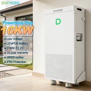 Ultra Large 16kWh Dyness PowerBrick Plus 51.2V 314Ah Lithium Battery 8000+ Cycles for Solar System