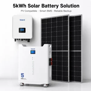 WIFI Smart Monitor Safe Energy Solution Off grid System Small House Energy 48V 100Ah Solar Backup 5kWh Storage Battery