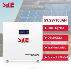 Wall-Mounted Home Solar Energy Storage 8000 Cycles 51.2V 100Ah RS485 LiFePO4 Lithium Battery Pack 5kWh