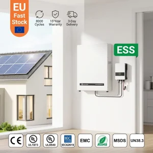 Wall Mounted Lithuim Battery 51.2v 200ah 10KWh Solar Battery 10KWh Solar System 48v LiFepo4 Battery PowerWall Batteries