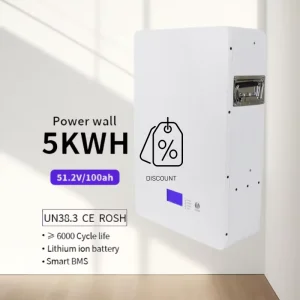 Wall Mounted Split LiFePO4 Solar Battery 51.2V 100Ah 0 5kWh IP65 CAN Home Energy Storage System