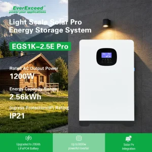 Weather-Resistant Light Scale LiFePO4 2.56kWh 1200W Energy Storage Wall-Mounted 60A Hybrid Charging Reliable Backup